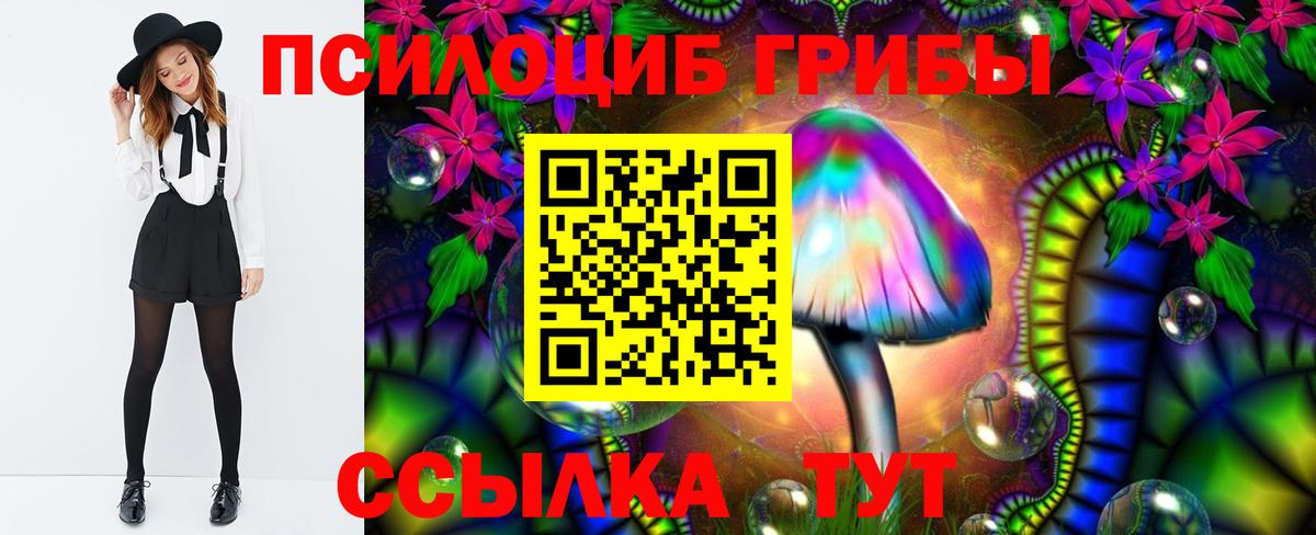 Среднеуральск  Галлюциногенные грибы MAGIC MUSHROOMS  купить   Вход с VPN 