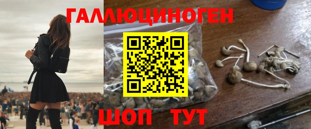 Галлюциногенные грибы ЛСД Среднеуральск